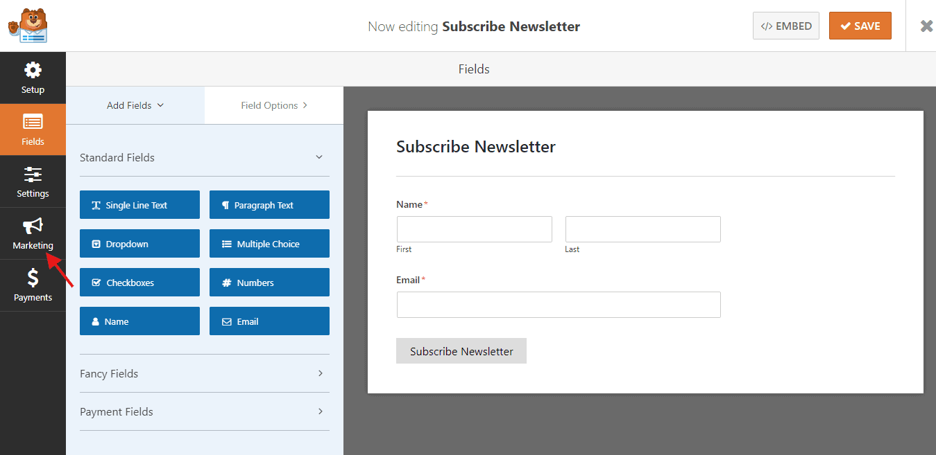 newsletter forms demo with email marketing tool